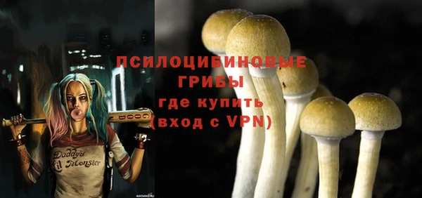 твердый Армянск