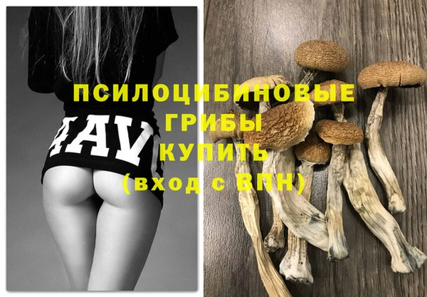 а пвп мука Аркадак