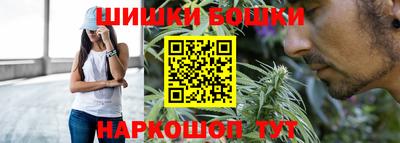 индика Братск