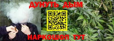 скорость Брянск