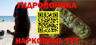 скорость Брянск