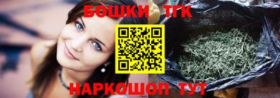 индика Братск