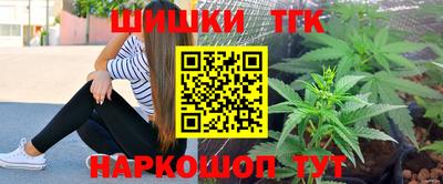 индика Братск