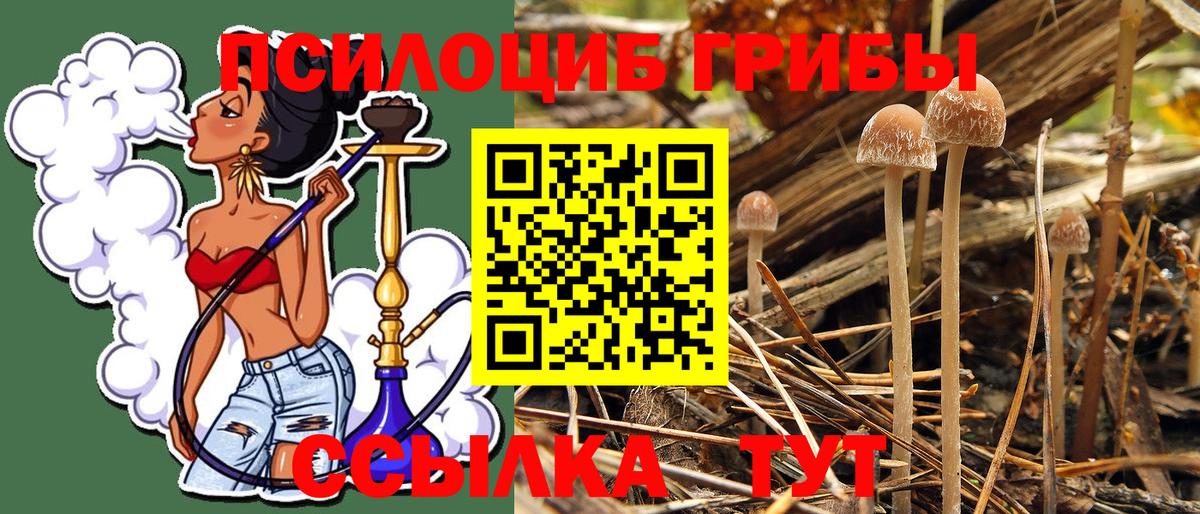 Псилоцибиновые грибы Magic Shrooms  Псилоцибиновые грибы GOLDEN TEACHER  Белово  Вход с VPN 