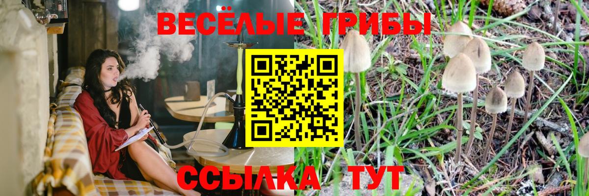 Галлюциногенные грибы MAGIC MUSHROOMS Белово